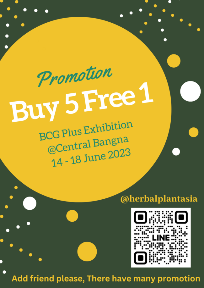 Herbal Plantasia in 𝗖𝗲𝗻𝘁𝗿𝗮𝗹 𝗮𝗻𝗱 𝗘𝗮𝘀𝘁𝗲𝗿𝗻 𝗧𝗵𝗮𝗶𝗹𝗮𝗻𝗱 𝗟𝗼𝗰𝗮𝗹 𝗕𝗖𝗚 𝗣𝗹𝘂𝘀 𝗙𝗮𝗶𝗿