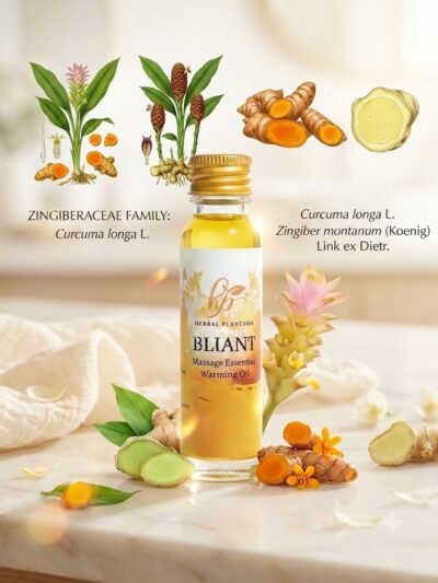 Traditional Thai Botanical Massage Oil – Bliant Formula Full